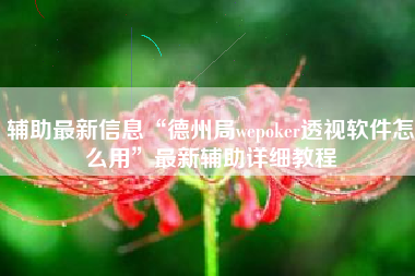 辅助最新信息“德州局wepoker透视软件怎么用	”最新辅助详细教程