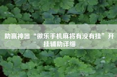 助赢神器“微乐手机麻将有没有挂”开挂辅助详细