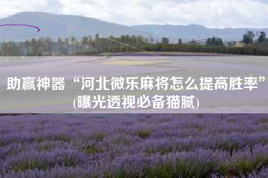 助赢神器“河北微乐麻将怎么提高胜率”(曝光透视必备猫腻)