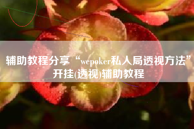 辅助教程分享“wepoker私人局透视方法”开挂(透视)辅助教程