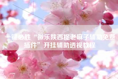 一键必胜“微乐陕西捉老麻子辅助免费插件	”开挂辅助透视教程