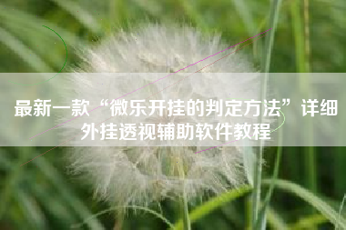 最新一款“微乐开挂的判定方法”详细外挂透视辅助软件教程