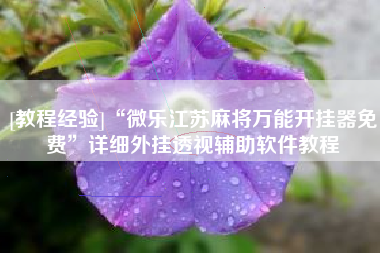 [教程经验]“微乐江苏麻将万能开挂器免费	”详细外挂透视辅助软件教程