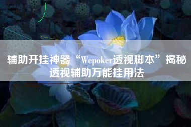 辅助开挂神器“Wepoker透视脚本”揭秘透视辅助万能挂用法