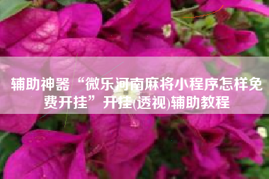 辅助神器“微乐河南麻将小程序怎样免费开挂”开挂(透视)辅助教程