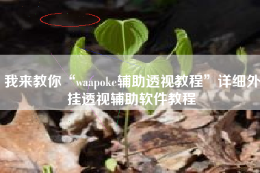 我来教你“waapoke辅助透视教程”详细外挂透视辅助软件教程