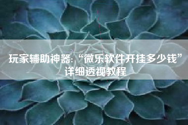 玩家辅助神器:“微乐软件开挂多少钱”详细透视教程