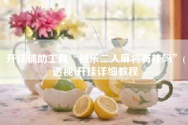 开挂辅助工具“微乐二人麻将有挂吗”(透视)开挂详细教程