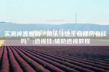 实测神器辅助“微乐斗地主自建房有挂吗	”(透视挂)辅助透视教程