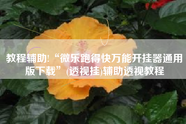 教程辅助!“微乐跑得快万能开挂器通用版下载”(透视挂)辅助透视教程