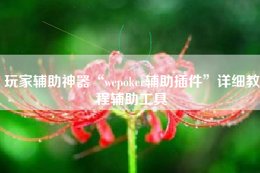 玩家辅助神器“wepoker辅助插件”详细教程辅助工具