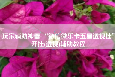 玩家辅助神器:“微信微乐卡五星透视挂”开挂(透视)辅助教程