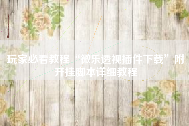 玩家必看教程“微乐透视插件下载	”附开挂脚本详细教程