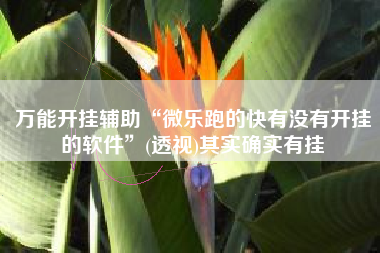 万能开挂辅助“微乐跑的快有没有开挂的软件”(透视)其实确实有挂