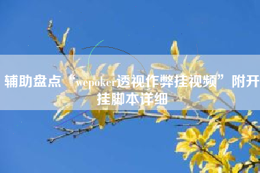 辅助盘点“wepoker透视作弊挂视频”附开挂脚本详细