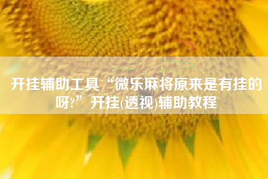 开挂辅助工具“微乐麻将原来是有挂的呀?	”开挂(透视)辅助教程