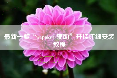 最新一款“wepoker 辅助”开挂详细安装教程