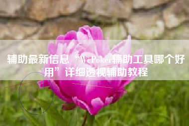 辅助最新信息“WePoker辅助工具哪个好用	”详细透视辅助教程