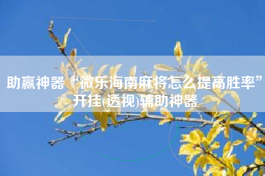 助赢神器“微乐海南麻将怎么提高胜率	”开挂(透视)辅助神器