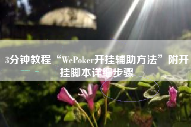 3分钟教程“WePoker开挂辅助方法”附开挂脚本详细步骤
