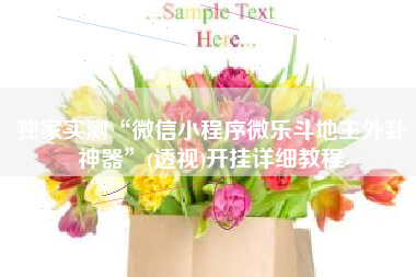 独家实测“微信小程序微乐斗地主外卦神器”(透视)开挂详细教程