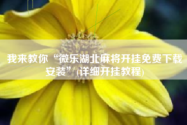 我来教你“微乐湖北麻将开挂免费下载安装”(详细开挂教程)