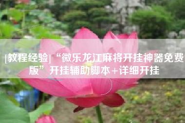 [教程经验]“微乐龙江麻将开挂神器免费版”开挂辅助脚本+详细开挂