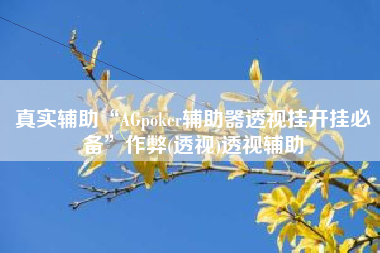 真实辅助“AGpoker辅助器透视挂开挂必备”作弊(透视)透视辅助
