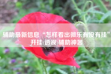 辅助最新信息“怎样看出微乐有没有挂”开挂(透视)辅助神器