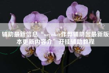 辅助最新信息“wepoker作弊辅助器最新版本更新内容介	”开挂辅助教程