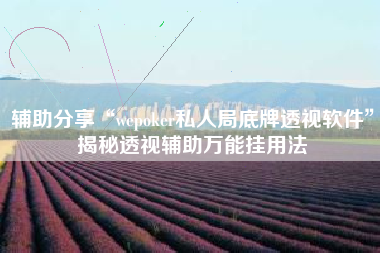 辅助分享“wepoker私人局底牌透视软件	”揭秘透视辅助万能挂用法