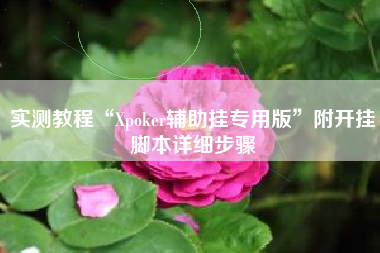 实测教程“Xpoker辅助挂专用版”附开挂脚本详细步骤