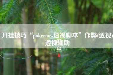 开挂技巧“pokernow透视脚本	”作弊(透视)透视辅助