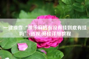 一键操作“微乐麻将有没有挂到底有挂吗”(透视)开挂详细教程