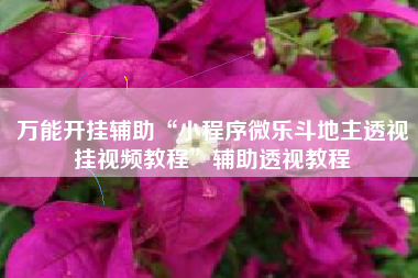 万能开挂辅助“小程序微乐斗地主透视挂视频教程	”辅助透视教程