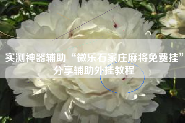 实测神器辅助“微乐石家庄麻将免费挂	”分享辅助外挂教程