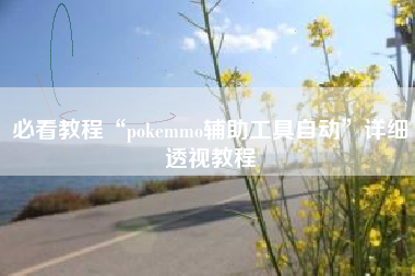 必看教程“pokemmo辅助工具自动”详细透视教程