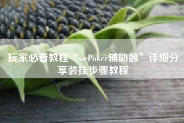 玩家必看教程“wePoker辅助器	”详细分享装挂步骤教程