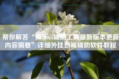 帮你解答“微乐a3辅助工具最新版本更新内容摘要”详细外挂透视辅助软件教程