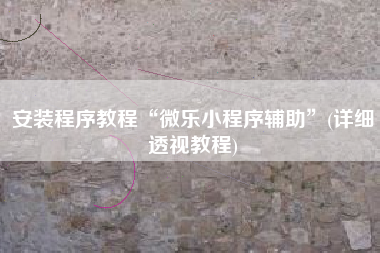 安装程序教程“微乐小程序辅助”(详细透视教程)