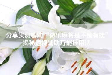 分享实测辅助“微乐麻将是不是有挂	”揭秘透视辅助万能挂用法