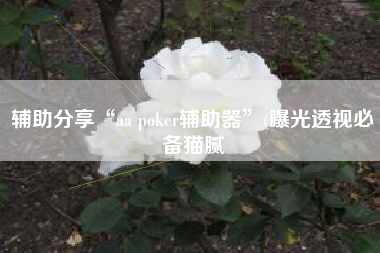 辅助分享“aa poker辅助器”(曝光透视必备猫腻