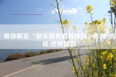 帮你解答“微乐麻将真有挂吗”作弊(透视)透视辅助