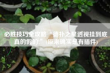 必胜技巧全攻略“德扑之星透视挂到底真的假的!	”(原来确实是有插件)