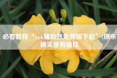 必看教程“wpk辅助器免费版下载”(原来确实是有插件