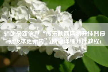 辅助最新信息“微乐陕西麻将开挂器最新版本更新内”(助赢详细开挂教程)