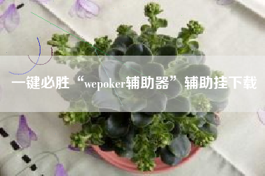 一键必胜“wepoker辅助器	”辅助挂下载