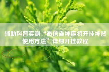辅助科普实测“微信雀神麻将开挂神器使用方法”详细开挂教程