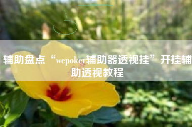 辅助盘点“wepoker辅助器透视挂”开挂辅助透视教程
