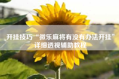 开挂技巧“微乐麻将有没有办法开挂”详细透视辅助教程